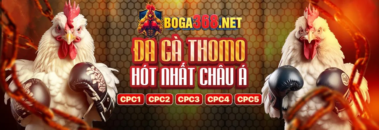 Sòng Bạc Trực Tiếp TG88 OK